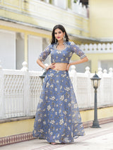 Grey lehenga Choli with Gota Patti work - Elganza