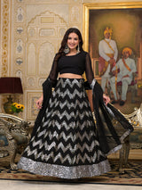 Black Sequinned party wear lehenga Choli - Elganza