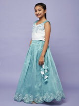 Blue Embroidered Lehenga Choli - Elganza