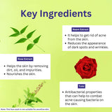 A+ Neem & Tulsi Face Wash image 2
