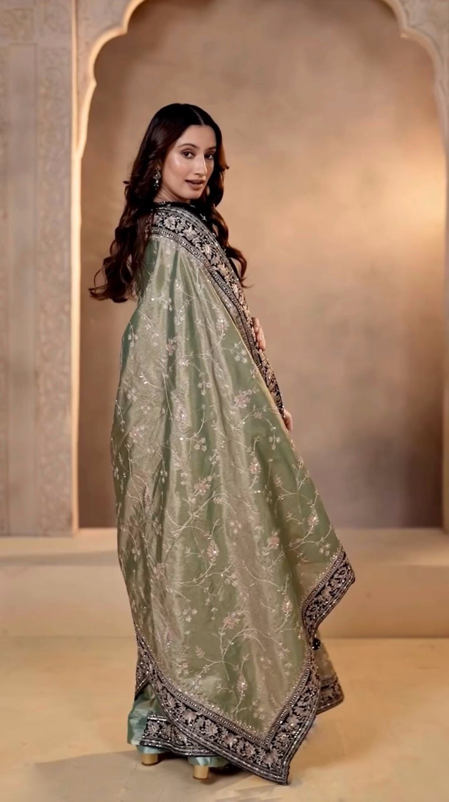 Most Popular Evergreen Soft Mocha Silk Saree with Silver Jari & Sequins Embroidery