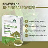 7Days Natural100% Pure Bhringraj Powder for Hair Growth - 200Gms | Good for Hair Pack, Hair Oil | Preservative Free, 1 Count image 7