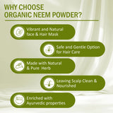 7 DAYS NATURAL Pure & Natural Neem Powder For Hair & Skin - 200GM image 2
