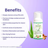 A+ Purifying with Tea-tree Facewash image 3