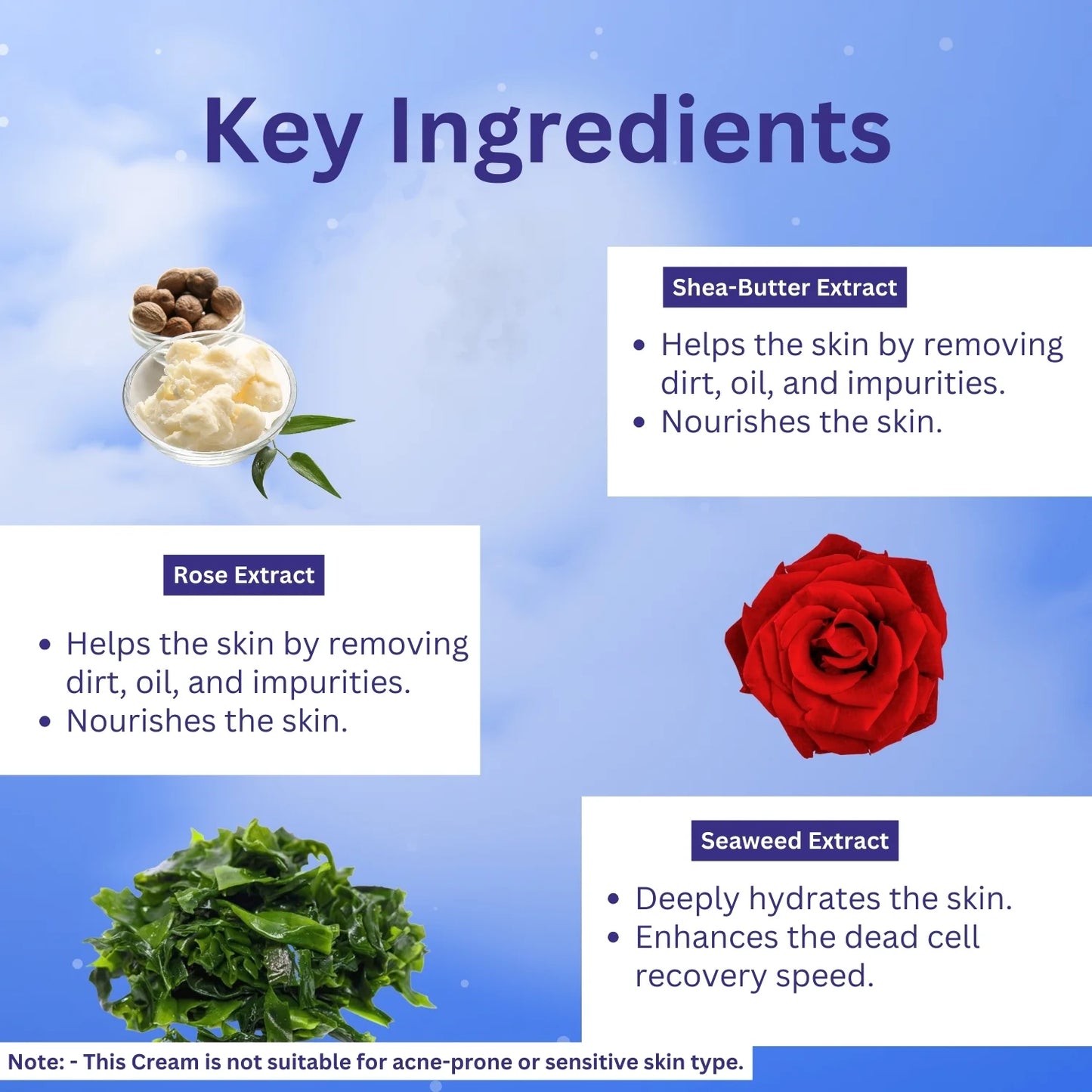 A+ Seaweed Night Cream image 2