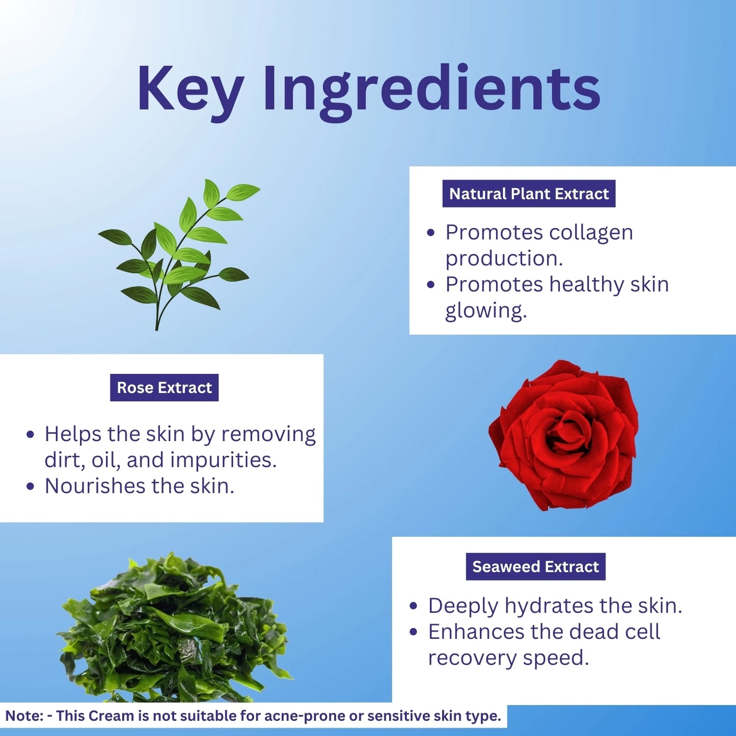 A+ Seaweed Day Cream image 2