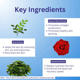 A+ Seaweed Day Cream image 2