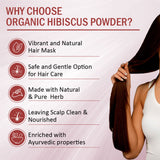 7Days Natural Hibiscus Flower Powder Ideal for Hair pack, Face pack, Eating, and Hibiscus tea | Gudhal Ka Phool Powder | 100% Pure and Natural, No Preservatives- 200gm image 4