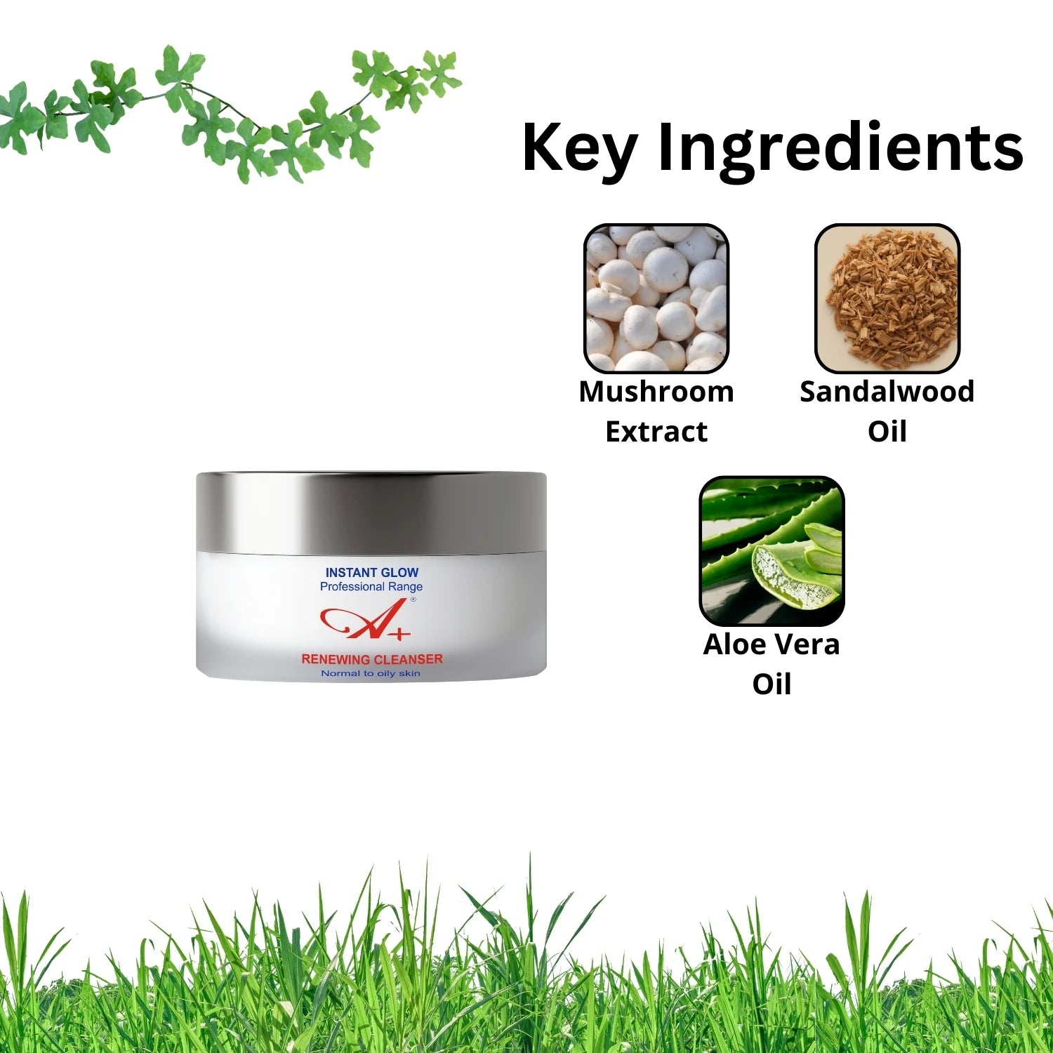 Renewing Cleanser image 2