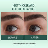 Eyebrow Growth Serum For Women | Fuller, Thicker Brows-30 ml image 6