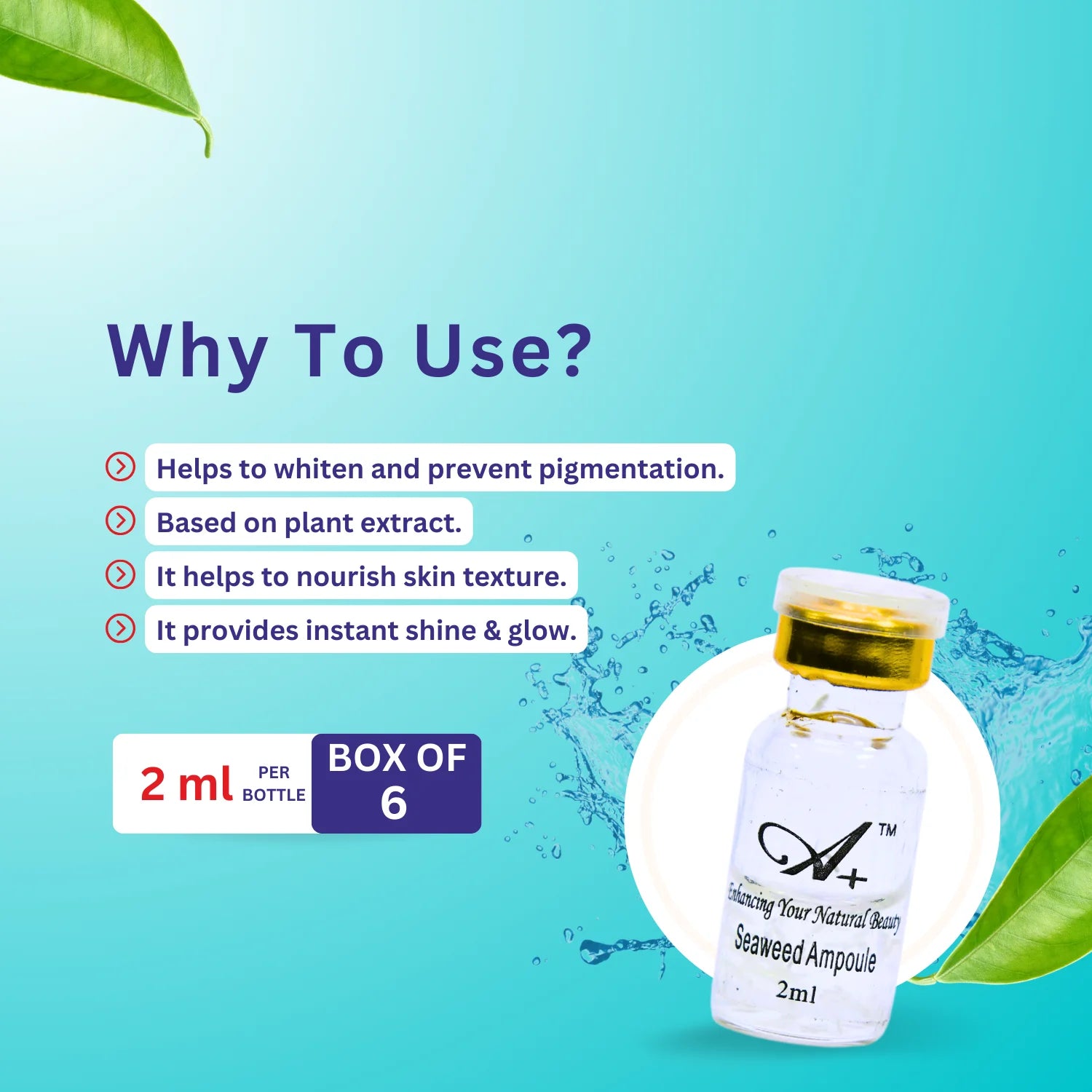 Seaweed Ampoule (Set of 6 Ampoules) image 3