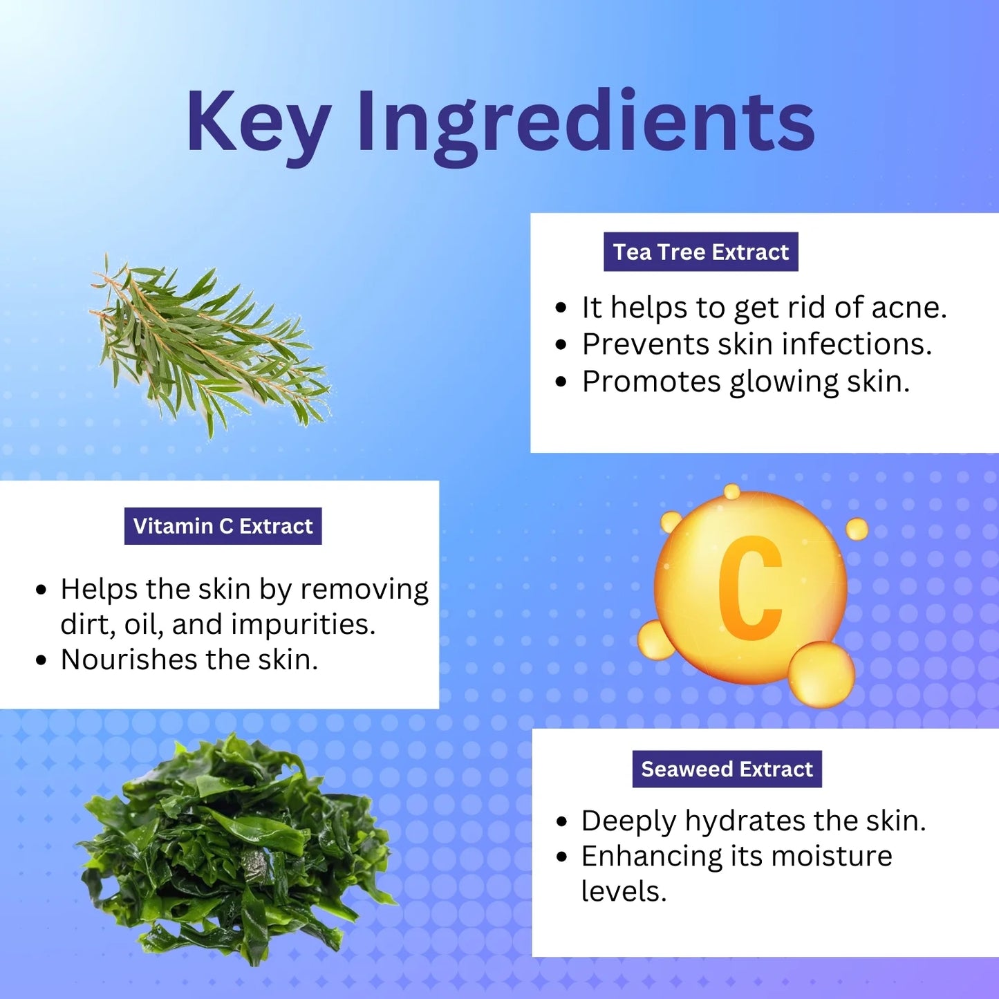 Seaweed Serum image 2