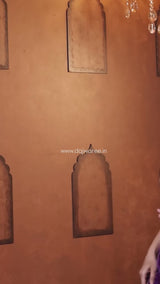 Luxury 9000 Quality Velvet Saree with Fine 3mm Sequin Jari Embroidered Cutwork Border & Ready Blouse